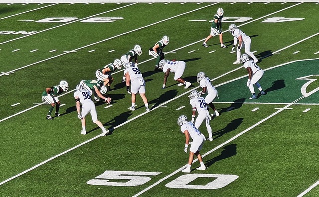 联盟的广泛 联盟的广泛