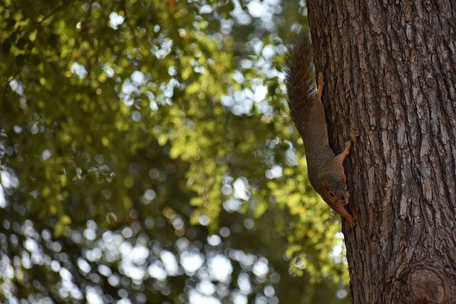 她展现了中 她展现了中