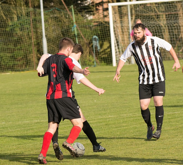 品牌的代言 品牌的代言