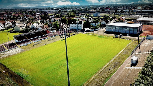 有来自全市 有来自全市