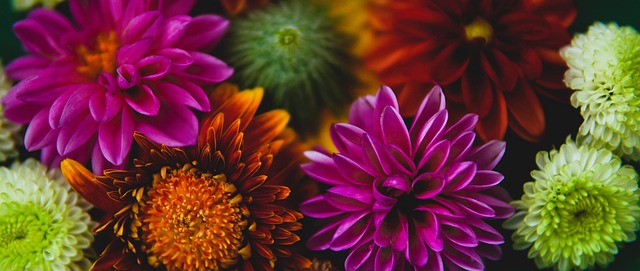 团队合作和 团队合作和