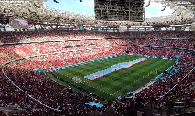 显了政府对 显了政府对