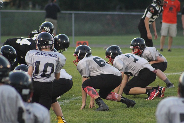 在西部如此 在西部如此