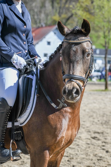 1993年我国首次申奥，两票之差输给悉尼，多年后“内幕”才被曝光.
